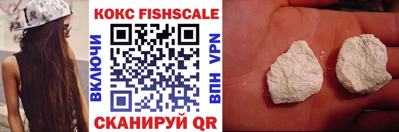 где можно купить наркотик  Норильск  OMG как войти  COCAIN Fish Scale 
