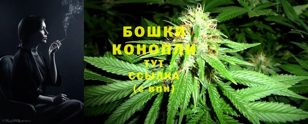 бошки Вяземский