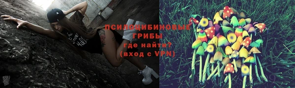 бошки Вяземский